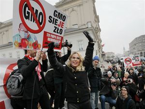 GMO - protesty 2013